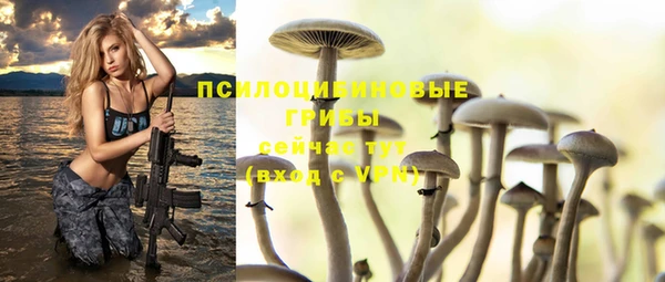 спиды Вязники