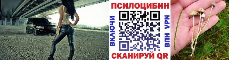 ОМГ ОМГ ТОР Владикавказ Галлюциногенные грибы Magic Shrooms что такое наркотик